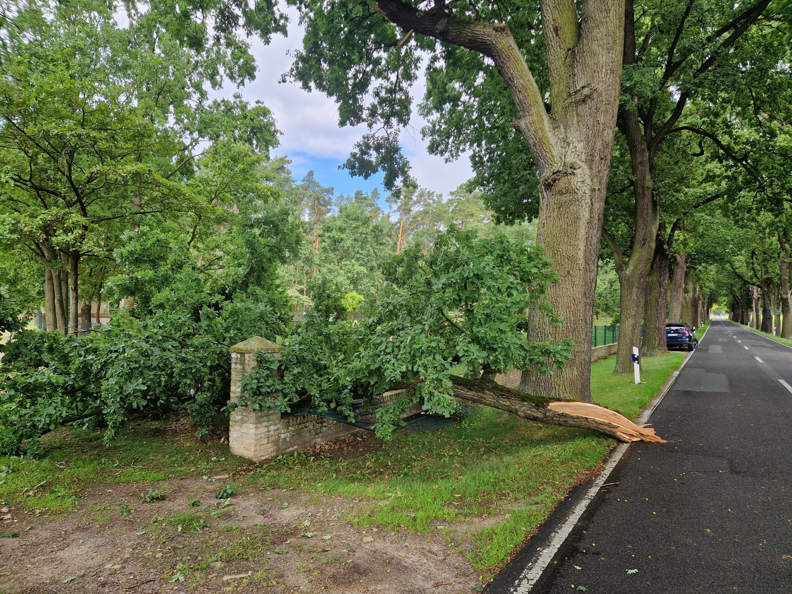 Schaden auf dem Friedhof