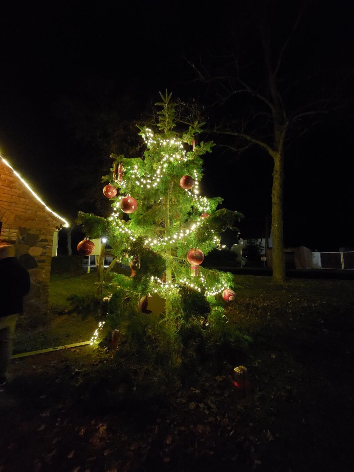 20251130_181038_resized