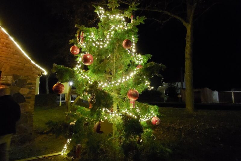 20251130_181038_resized