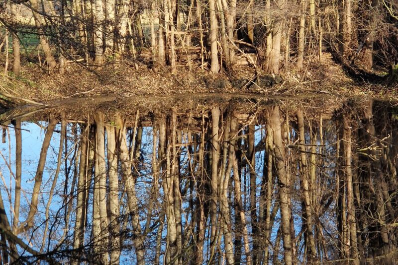 WhatsApp Image 2025-12-08 at 18.09.22